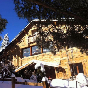 Гостиница Chalet Pomme de Pin 5 chambres 12 à 14 personnes  Формигер